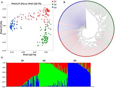 Genome-Wide Association Study of Waterlogging Tolerance in Barley (Hordeum vulgare L.) Under Controlled Field Conditions